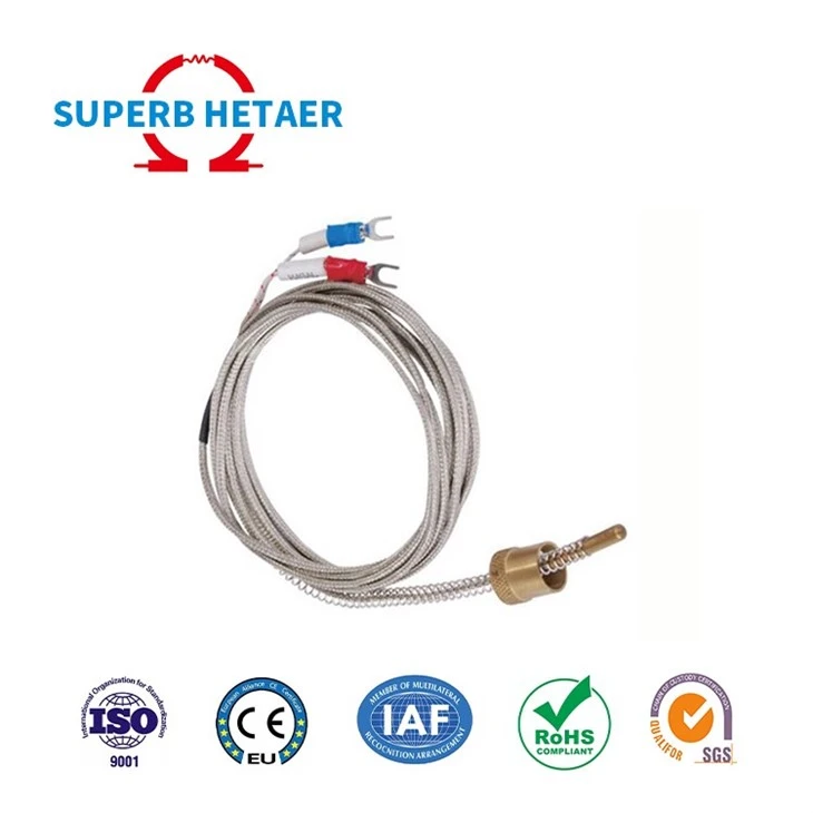 Stainless Steel Armored Thermocouple With Compensation Wire